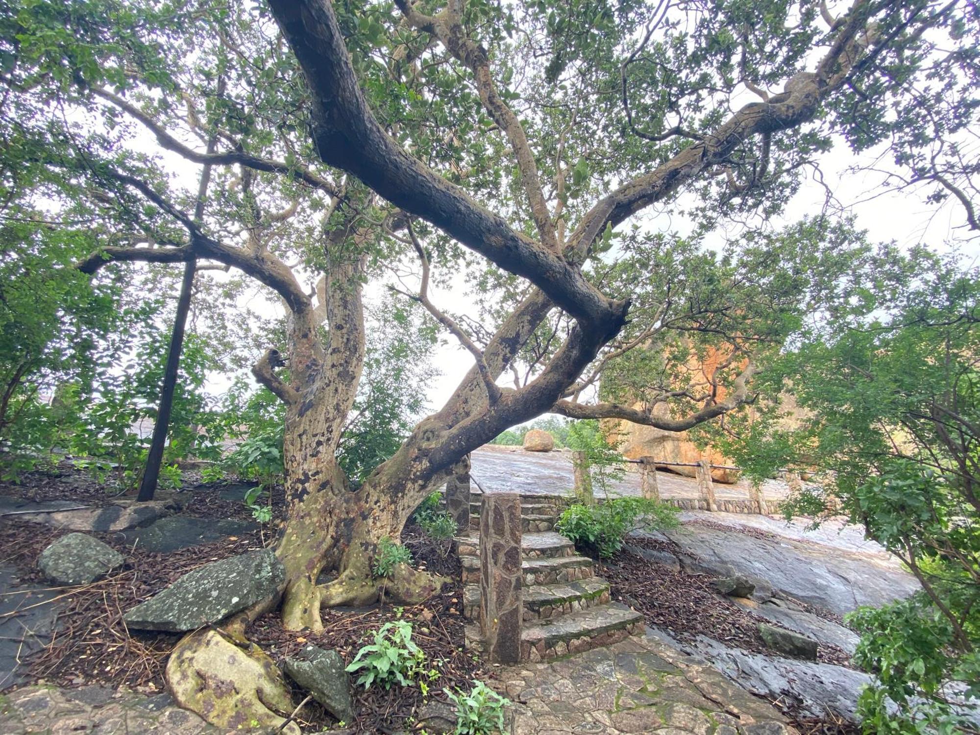 Matopos Big Cave Campヴィラ エクステリア 写真